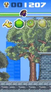 Hooja capture 6