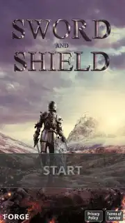 Sword and Shield capture 8