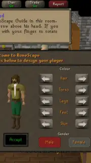 Old School RuneScape capture 3