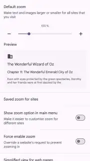 Chrome Beta capture 25