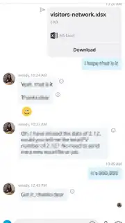 Skype capture 2