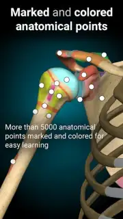 3D Anatomy Learning capture 7