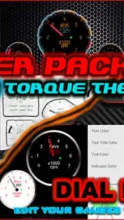 Torque Theme capture 2