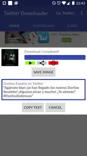 Video Downloader for Twitter capture 4