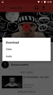 NewPipe capture 15