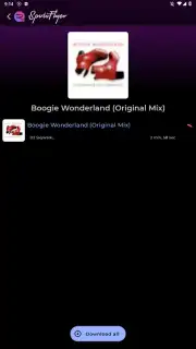 SpotiFlyer capture 4
