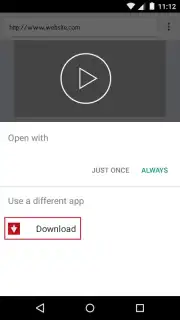 Web Video Downloader capture 3