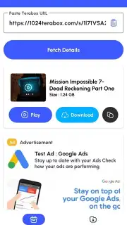 Terabox Downloader capture 4