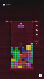 Tetris capture 11