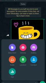 WhatsApp Messenger capture 28