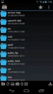 cPWebDisk capture 5