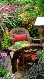 Garden Design Ideas capture 3