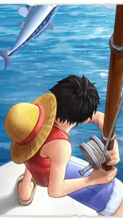 One Piece: Codename Partner capture 2