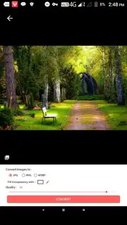Best Image Converter Professional (Pro) capture 6