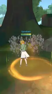 Naruto: Slugfest capture 4