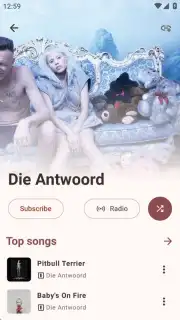 Metrolist capture 8