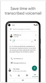 Google Voice capture 3