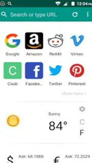 India Browser capture 4