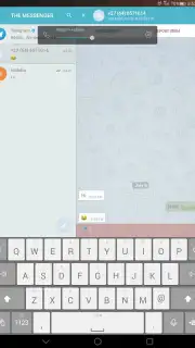 THE MESSENGER capture 4