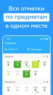 Дневник Новосибирской области capture 2