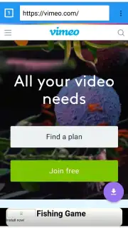 VIP Video downloader capture 2