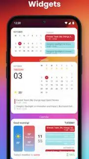 iOS Widgets capture 3