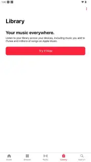 Apple Music capture 7
