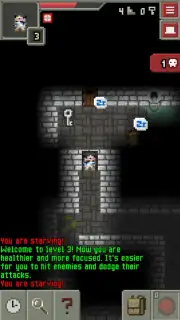 ReMake Pixel Dungeon capture 2