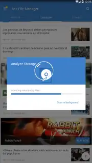 Ace File Manager capture 4