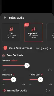 SongTube capture 7