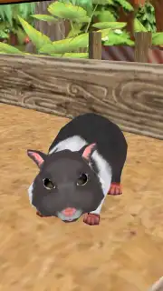 PetHotel - My animal boarding capture 3