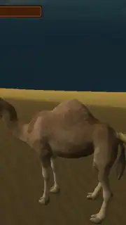 Camel Simulator capture 3