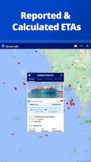 MarineTraffic capture 7
