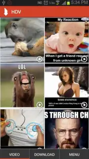 HD Video Downloader capture 1