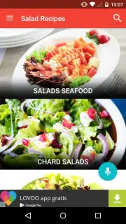 Salad Recipes FREE capture 5