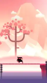 The Last Ninja Twins capture 2