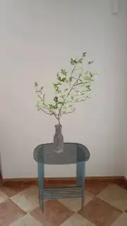 Homestyler capture 3