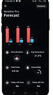 Weather Pro capture 3