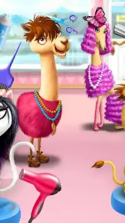 Animal Hair Salon capture 5