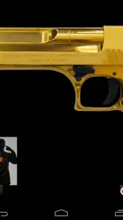 Guns capture 4