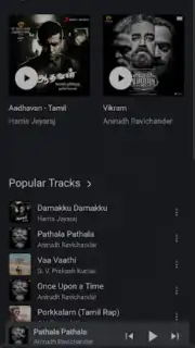 FLAC Music capture 3