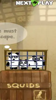 Panda Adventure capture 2