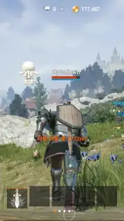 Lineage 2M capture 10