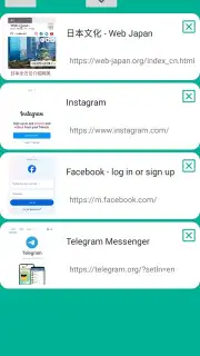 VPN Proxy Browser capture 3