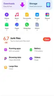 Phoenix Browser capture 9