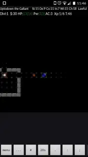 NetHack capture 9