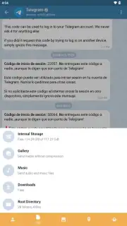 Telegram X capture 26
