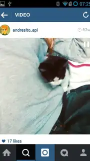 OGInsta+ capture 1