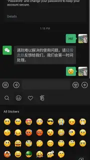 WeChat capture 3