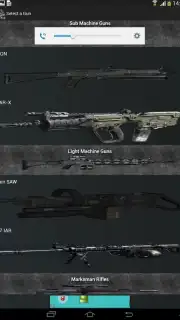Gun Camera capture 10